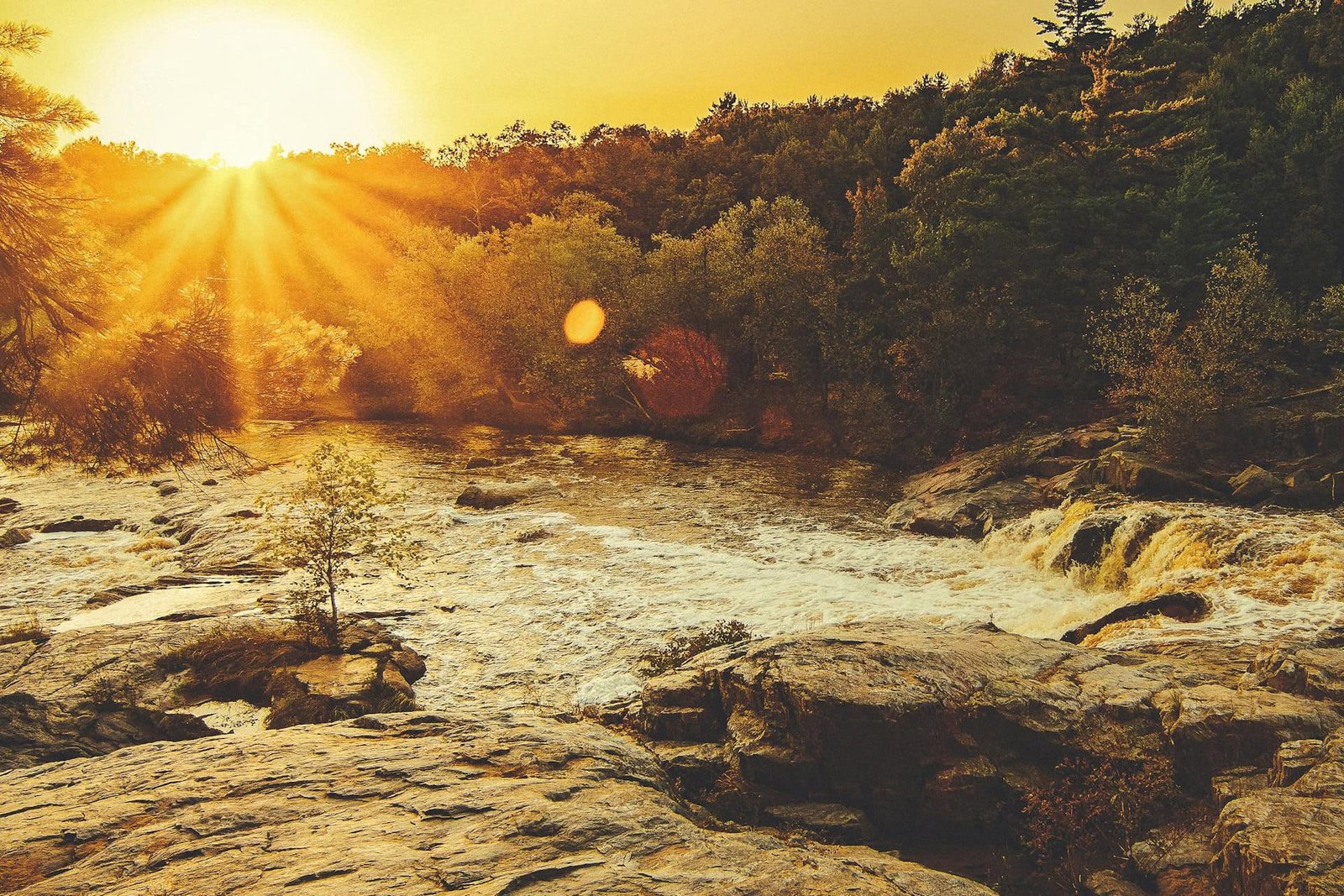 Providência Divina: Como Deus exerce sua soberania sobre o mundo