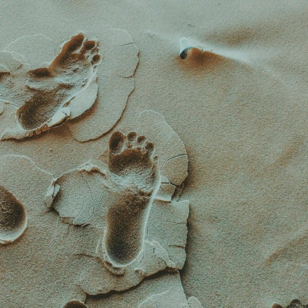 Descubra o que significa andar em amor e ser um imitador de Deus. Um estudo profundo de Efésios 5.1-6 sobre santidade, pureza e o amor sacrificial de Cristo.